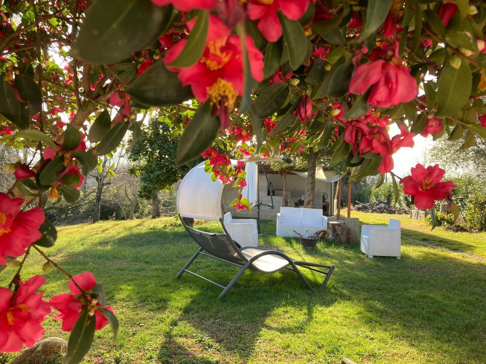 Villa Selva - Piemonte Agrate Conturbia Ngoại thất bức ảnh
