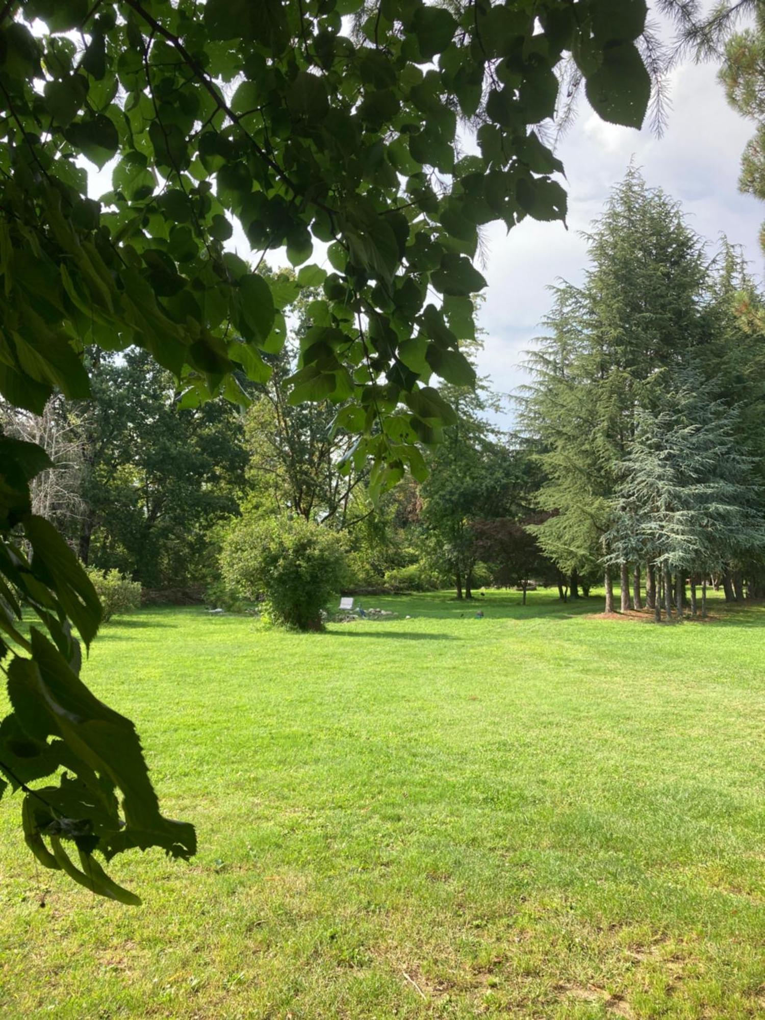 Villa Selva - Piemonte Agrate Conturbia Ngoại thất bức ảnh